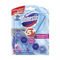 Блок для очищения унитаза Domestos POWER 5+ Видимая защита магнолия 53гр