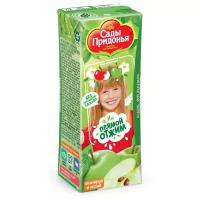 Сок прямого отжима Сады Придонья Яблоко (Tetra Pak), c 4 месяцев, 0.2 кг