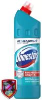 Универсальное чистящее средство Domestos Свежесть Атлантики 1000 мл