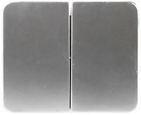 СВЕТОЗАР Гамма, двухклавишный без вставки и рамки цвет светло-серый металлик 10A/~250B, Электрический выключатель (SV-54134-SM)