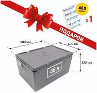 Термоконтейнер STP 46л. light с аккумулятором холода (1 шт. 460 гр.) / Ударопрочный, облегченный термобокс из вспененного полипропилена