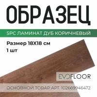 SPC ламинат Evofloor Home - Oak Brown (Дуб Коричневый) - образец