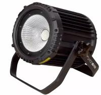 INVOLIGHT COBPAR100TW - всепогодный LED прожектор, 100Вт COB RGB. DMX-512, ID