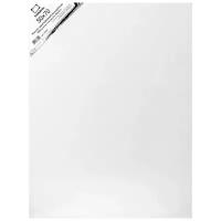 Холст Малевичъ на картоне 50x70 см (225070) белый