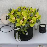 Цветы живые букет из 11 зеленых орхидей с эвкалиптом в коробке 