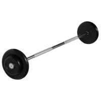 Набор спортивных штанг MB Barbell неразборная MB-BarMW-B