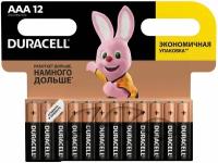 Батарейки алкалиновые Duracell Basic LR03 (AAA) 12 шт (451362)