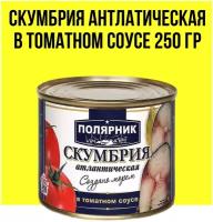 Скумбрия атлантическая в томатном соусе