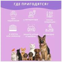 Пеленки для животных 60х60 см, 25 шт DogMama, впитывающие, одноразовые, с суперабсорбентом