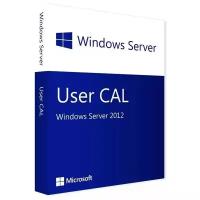 Microsoft Windows Server CAL 2012 Russian 1pk DSP OEI 1 Clt User CAL (R18-03746)