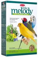 Корм Padovan MELODYMIX дополнительный для пения декоративных птиц (300г)