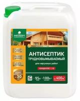 Антисептик для наружных работ Prosept Exterior Концентрат 1:19, 5л./В упаковке шт: 1