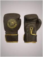 Боксерские Перчатки из натуральной кожи REVANSH PRO RETRO GOLD 18 унций