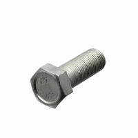 GARWIN PRO 00001-0013915-219 Болт 16х1.5х45х38