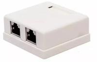 Компьютерная розетка настенная Filum FL-NA-SOCKET5E-4 5E кат., 2 х RJ-45/8p8c, экранированная, 110/Krone