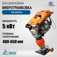 Вибротрамбовка бензиновая TSS RM75L