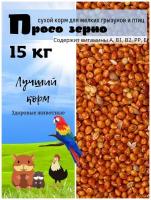 просо сухой корм зерно для попугаев птиц мелких грызунов для роста и развития