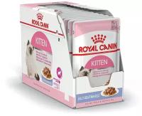 ROYAL CANIN Kitten влажный корм для котят в желе, пауч 85гр x 24шт