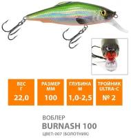 Воблер плавающий AQUA Burnash 100mm 22g заглубление от 1 до 2.5m. Приманка для рыбалки на спиннинг, кастинг, троллинг, цвет 007