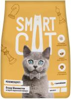 Сухой корм для котят Smart Cat с цыпленком