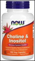 Choline & Inositol, 190 г, 100 шт