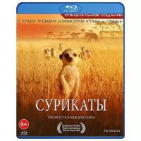 Сурикаты (Blu-ray)