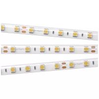 Лента RTW 2-5000SE 24V Cool 2x (5060, 300 LED, LUX) (arlight, 14.4 Вт/м, IP65)