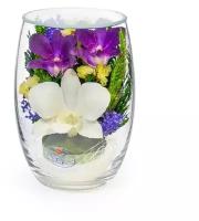 Цветы в стекле: Композиция из натуральных орхидей в подарочной упаковке/невянущие цветы/живые цветы в вакууме, в колбе/подарок женщине