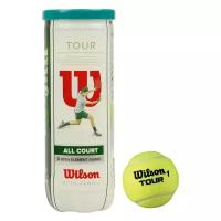 Мяч Wilson All Court WRT106300