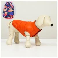 Куртка для собак двухсторонняя с принтом, размер 10 (ДС 25,ОГ 34, ОШ 24 см),коралловая