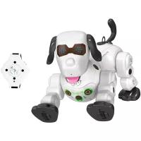Интерактивная Радиоуправляемая собака робот 777-602A