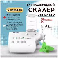 Скалер ультразвуковой автономный стоматологический Woodpecker DTE-D7 LED, 8 насадок в комплекте (ED1, GD1, GD4, GD5, GD6, PD1, PD3, PD4D)