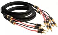Акустический кабель Goldkabel Black Edition SC Bi-Wire 2,5m