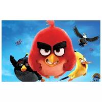 Постер Злые птицы (Angry Birds) №1 64см. x 40см