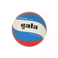 Мяч волейбольный профессиональный GALA Pro-Line 10 FIVB Approved BV5591S, размер 5, 10-панельный мяч с рельефным нанесением Dimple, для международных соревнований