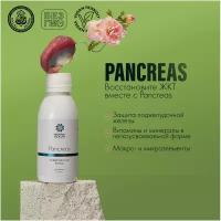 PANCREAS / Панкреас - препарат для восстановления поджелудочной железы, Natural Health