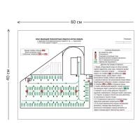 План эвакуации транспорта, (формат А2). 150х300 мм