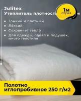 Техническая ткань Полотно иглопробивное 250 г/м2 1 м * 150 см, белый 001