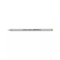 Ручка шариковая Pensan Triball (0.5мм, салатовый цвет чернил, масляная основа) 24 уп. (1003/12)