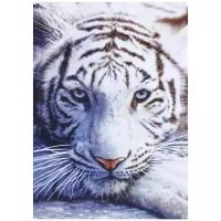 Картина по номерам Цветной Премиум «Белый тигр» (холст на подрамнике, 50х40 см)