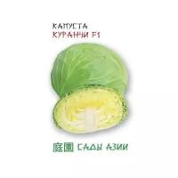 Капуста белокачанная Куранчи F1