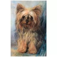 Репродукция на холсте Йоркширский терьер (A Yorkshire Terrier) Мод ди Хипс 30см. x 47см