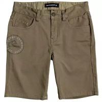 Шорты Для Активного Отдыха Детские Quiksilver Pebbly Blu Short Youth Kalamata (Eur:25)