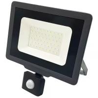 Jazzway Прожектор с датчиком PFL- C3 SENSOR 50w 6500K IP65 .5026940