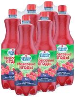 Напиток сокосодержащий Калинов Родник Морсовые ягоды Малина-ежевика-клюква, 1 л, 6 шт