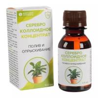 Somrast Company серебро коллоидное концентрат Полив и опрыскивание