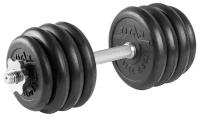 Гантель разборная 20 кг TITAN Barbell - d31, Комплектация №2 с железной ручкой