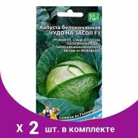 Семена Капуста 'Чудо на Засол' F1 для квашения и засола, кочан до 4 кг, 0,3 г (2 шт)