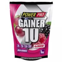 Гейнер Power Pro Gainer 10, 1000 г, лесная ягода