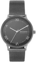 Наручные часы SKAGEN SKW6624